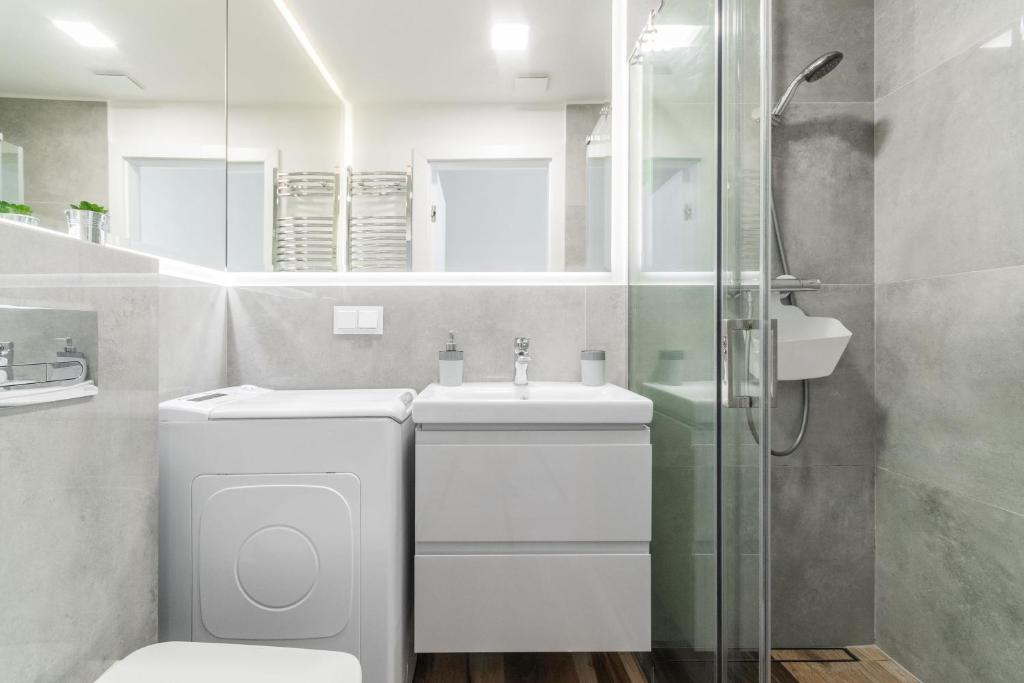 Szary & Zielony by Grand Apartments photo 3