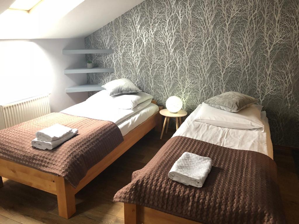 Sokół photo 2