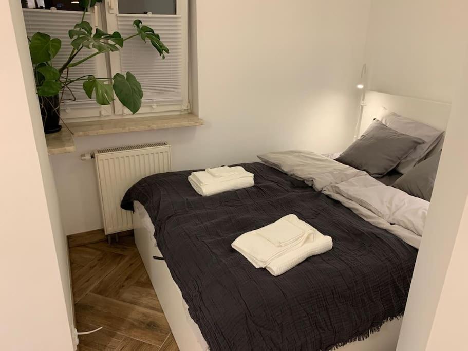 Close Wola Studio photo 2