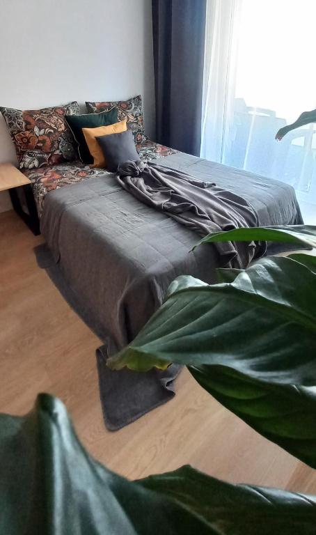 Słoneczny Apartament Poleska — photo 1