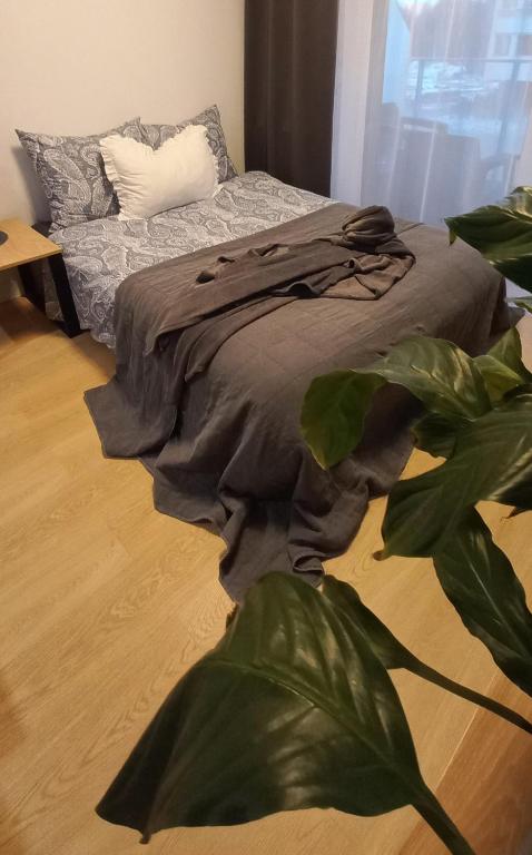 Słoneczny Apartament Poleska photo 2