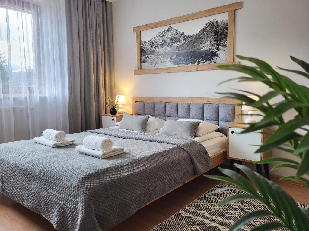 Apartamenty Velvet — photo 1
