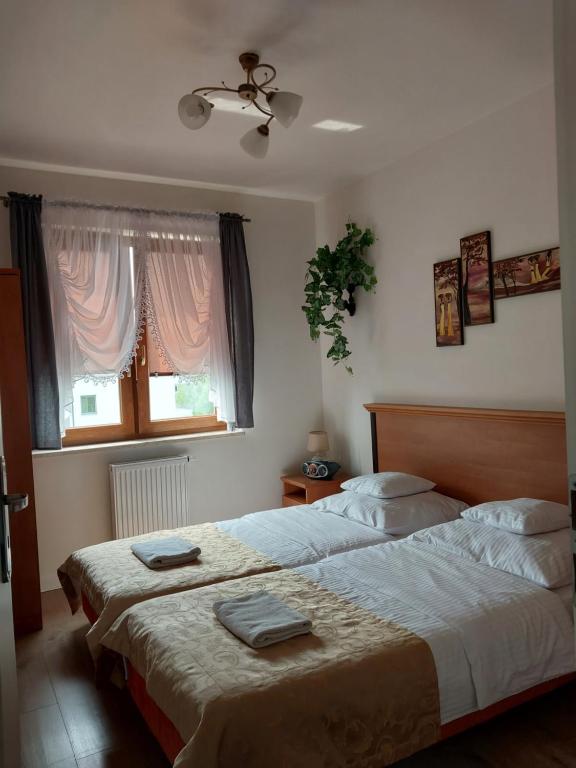 Telimena photo 2