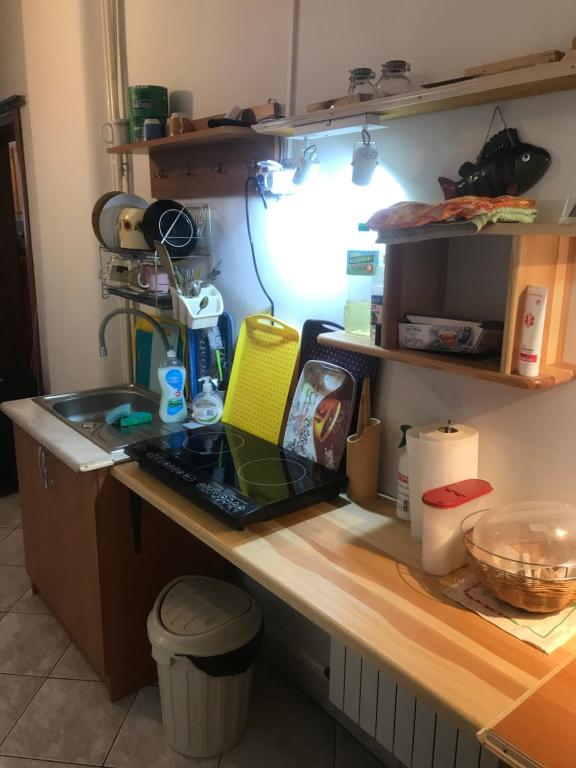 Villa jumper Apartament 3 POKOJOWY Aneks KUCHENNY 3 łazienki pobyt na termach dla 2os photo 3
