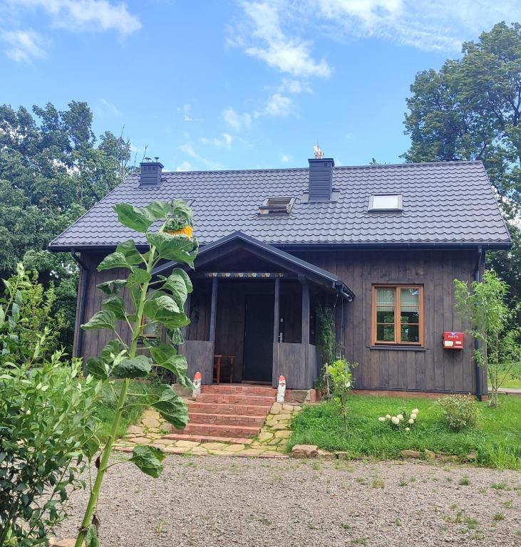 Świętokrzyskie Stodoła Kasztanowa Aleja Radkowice — photo 1