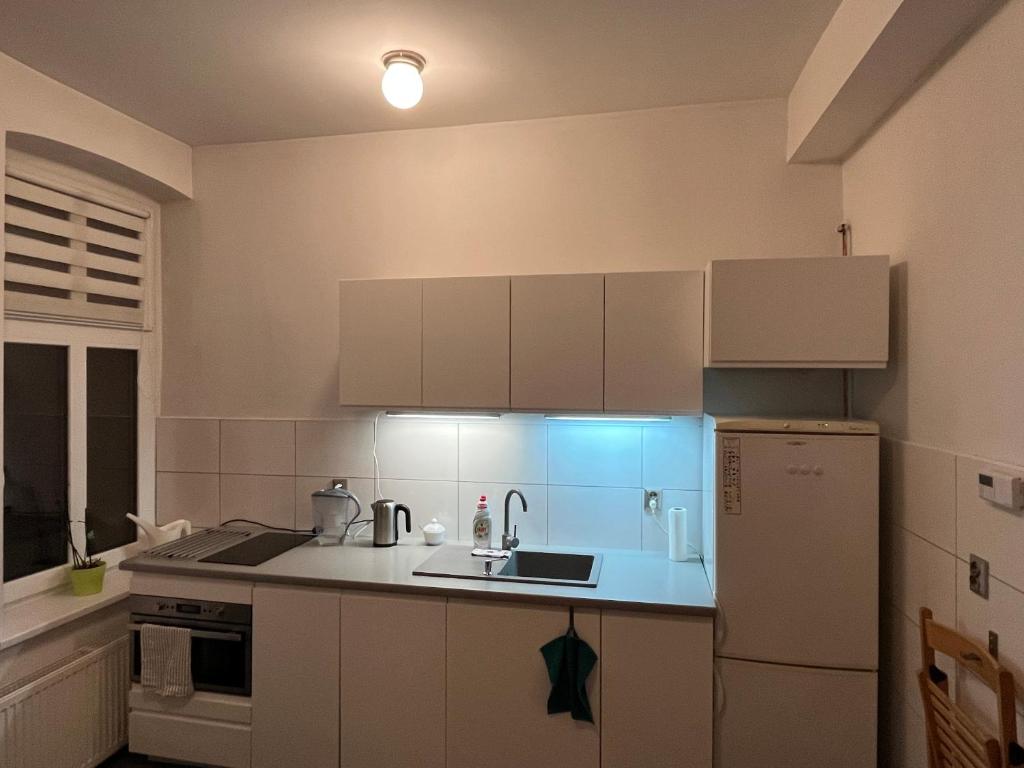 Słoneczny apartament centrum Poznania klimatyzacja wi-fi TV zmywarka pralka piekarnik photo 3