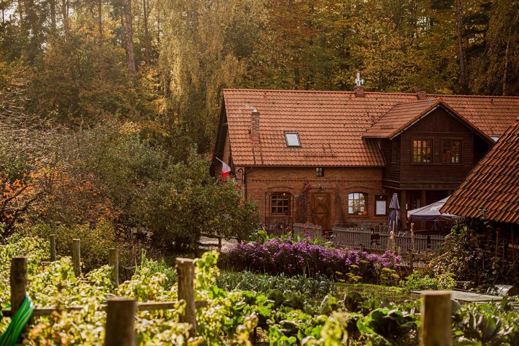 Tabun — photo 1