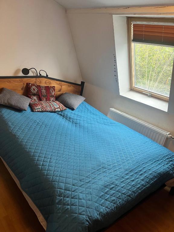 Apartament-samodzielne mieszkanie-Agroturystyka-puszcza kampinoska photo 2