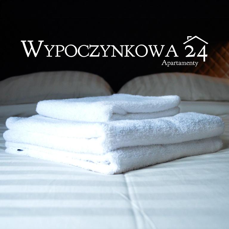 Apartamenty Wypoczynkowa 24 - 700m od Park Wodny Suntago Wręcza — photo 1