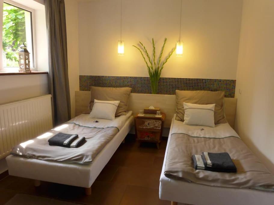 Spacious apartment in green district. photo 2