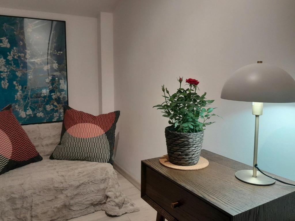 Old Town Premium Apartment Kazimierz - Synagogue view photo 2
