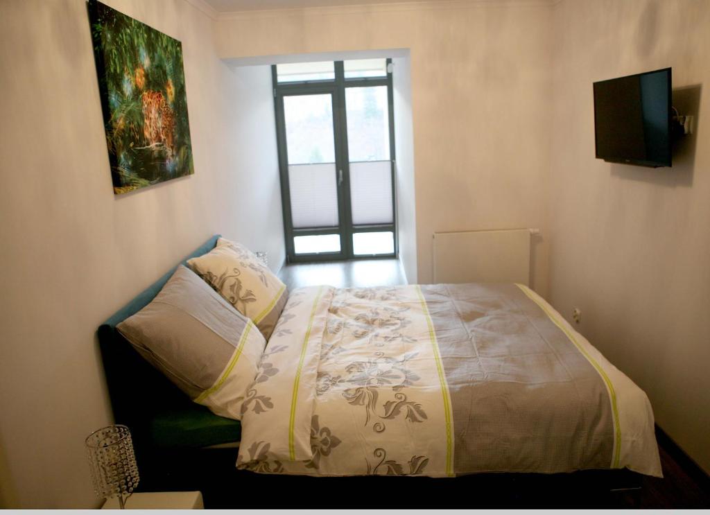 Tęczowe Wzgórze Apartament Oaza photo 2