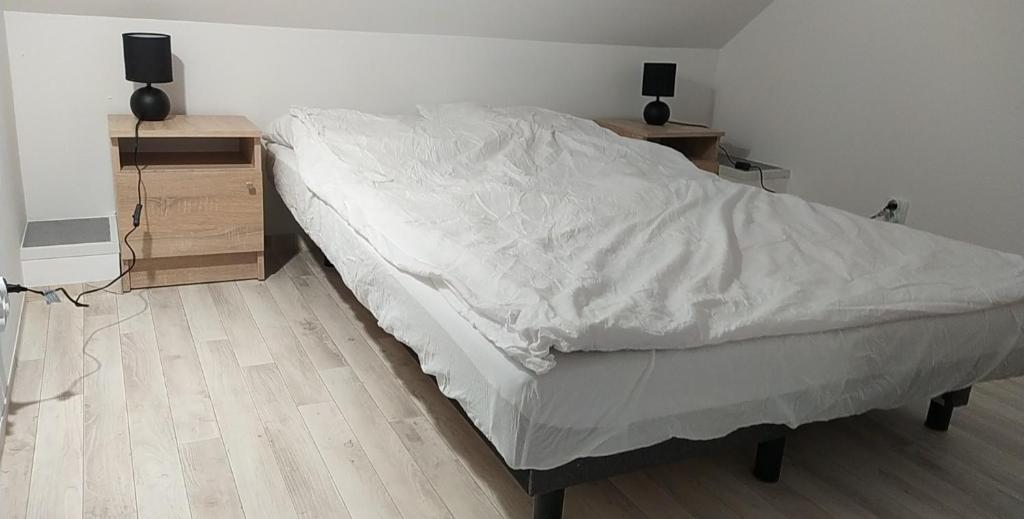 Apartmenty Ozarow - aneks kuchenny photo 2