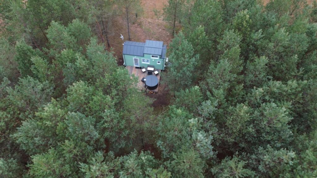 Tiny house in the forest — photo 1