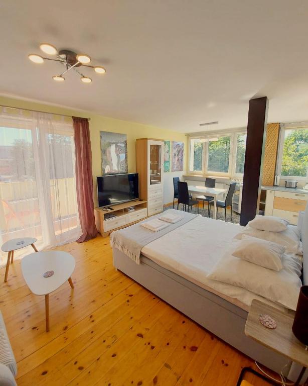 SunRoom Szczecin photo 2