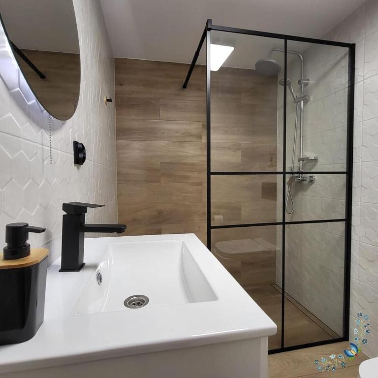 Studio 4-osobowe photo 2
