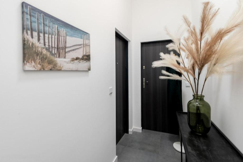 Smart Studio 5 photo 3