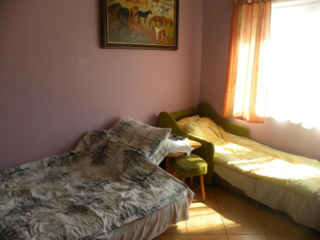 Stajnia Grazyny Mikorowo 46 photo 2