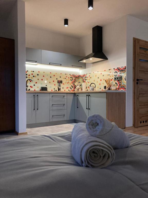 Rezydencja pod Cergową Wellness & SPA photo 3