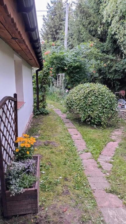 Świerkowe Ranczo Raciszewo photo 2