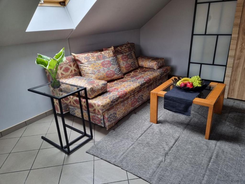 Studio Medusa 300 metrów od plaży — photo 1