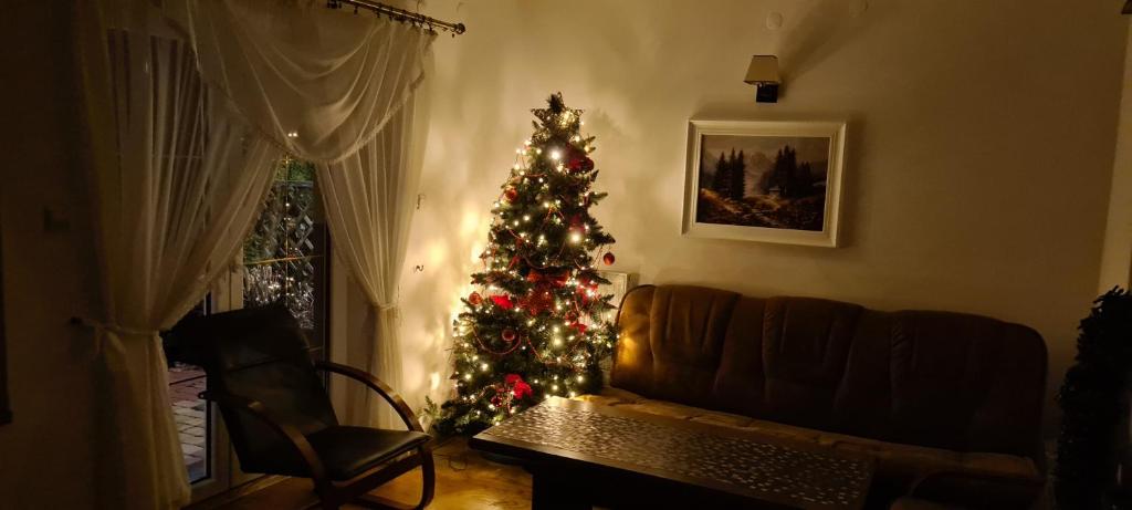 Apartament Kazimierza Wielkiego — photo 1