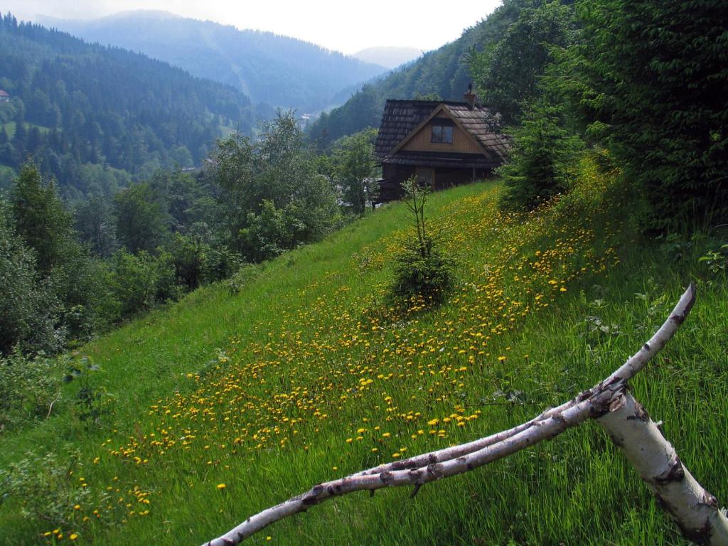 Tarnasówka w Szczyrku photo 3