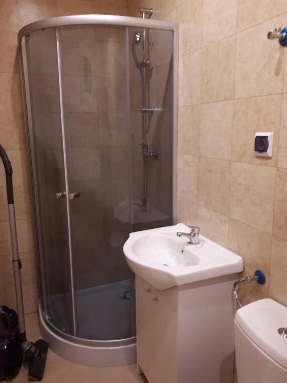 Sarzynówka pod Sosną photo 3