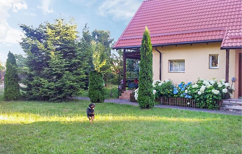 Stunning Home In Golubie With Wifi — photo 1