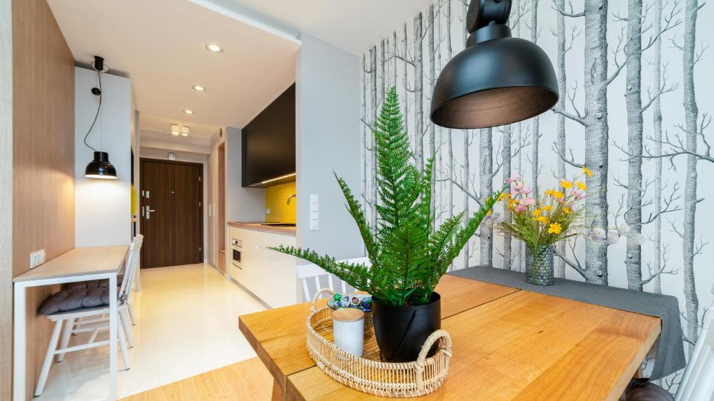 Triventi Mountain Residence Karpacz Sunrise — photo 1