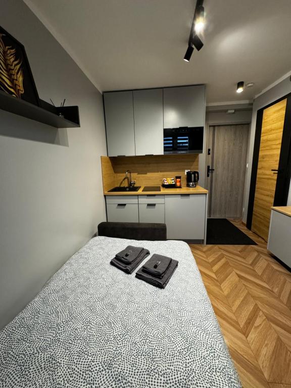 Komfortowy apartament z klimatyzacją - darmowy parking - ul Plebiscytowa 19 photo 2