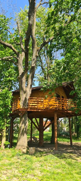 Tree Vill photo 3