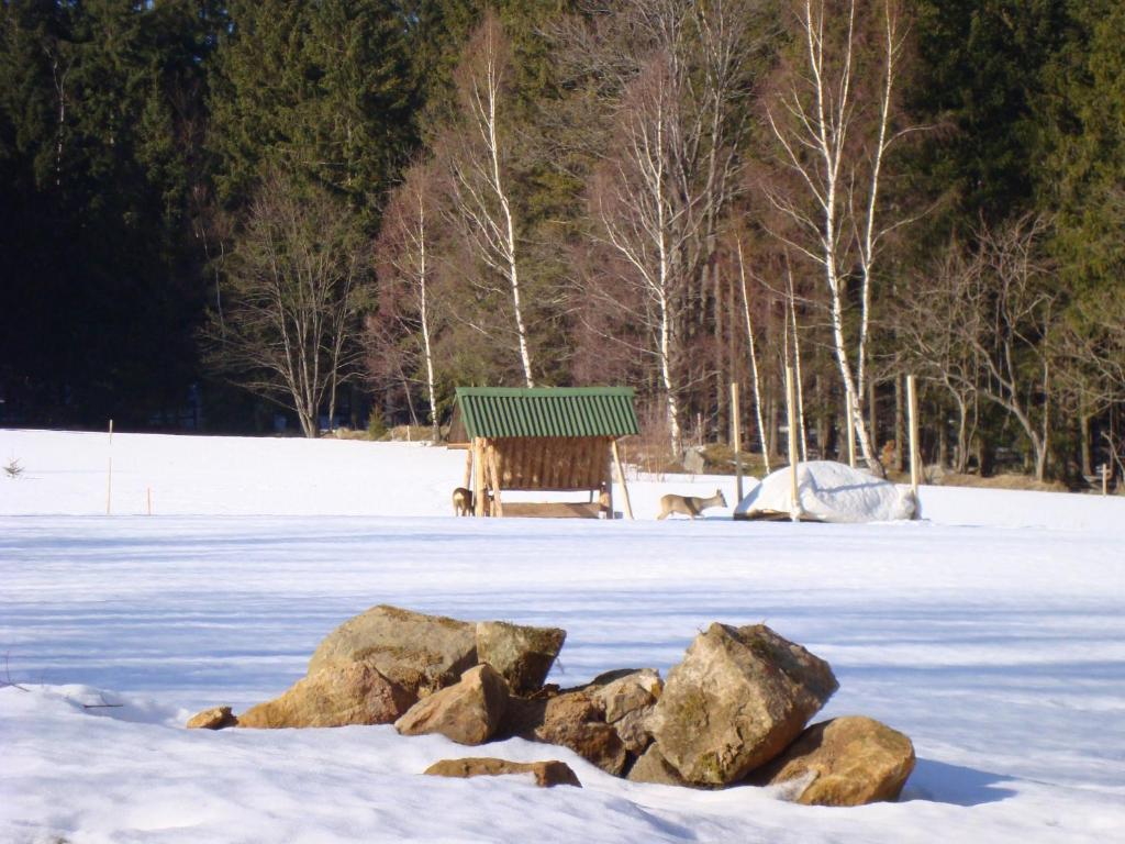 Trzy kultury Złoty Widok photo 2