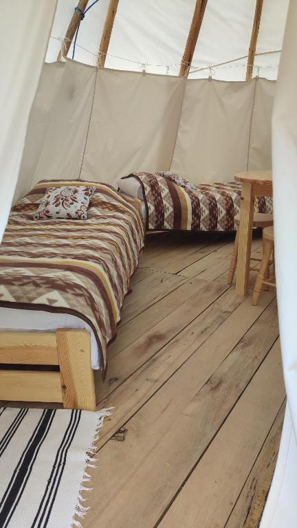 Glamping Wild Nature Bałtów photo 2
