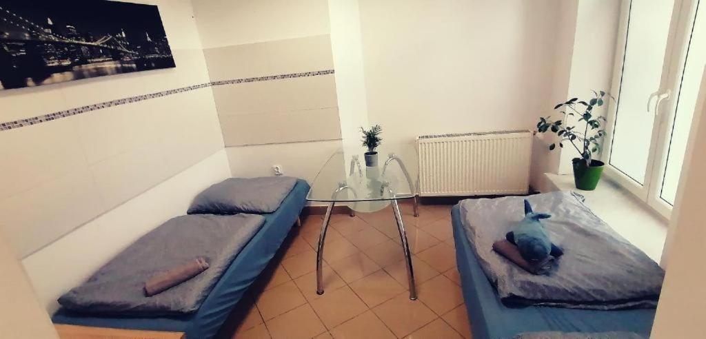 Studio 2 - Strefa Zen pokoje z klimatem przy parku photo 2