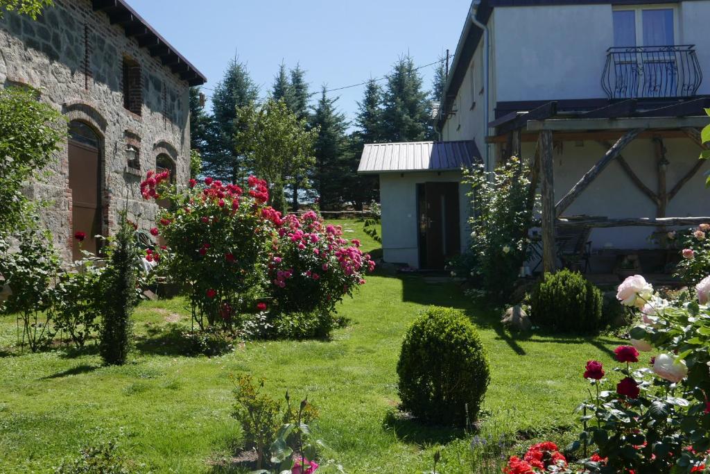 Róże i Jabłonie Agroturystyka photo 2