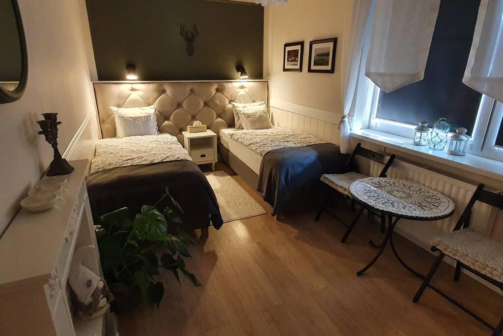 ZENDA - Przytulny apartament w zacisznym miejscu — photo 1