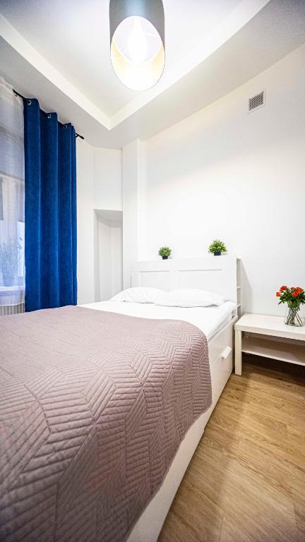 Spacious Apartment with 3 meter ceilings photo 2