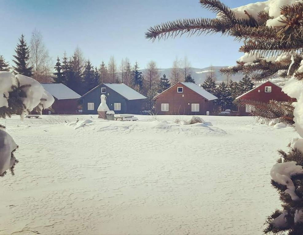 Stanica pod Zadzierną Domki całoroczne photo 2