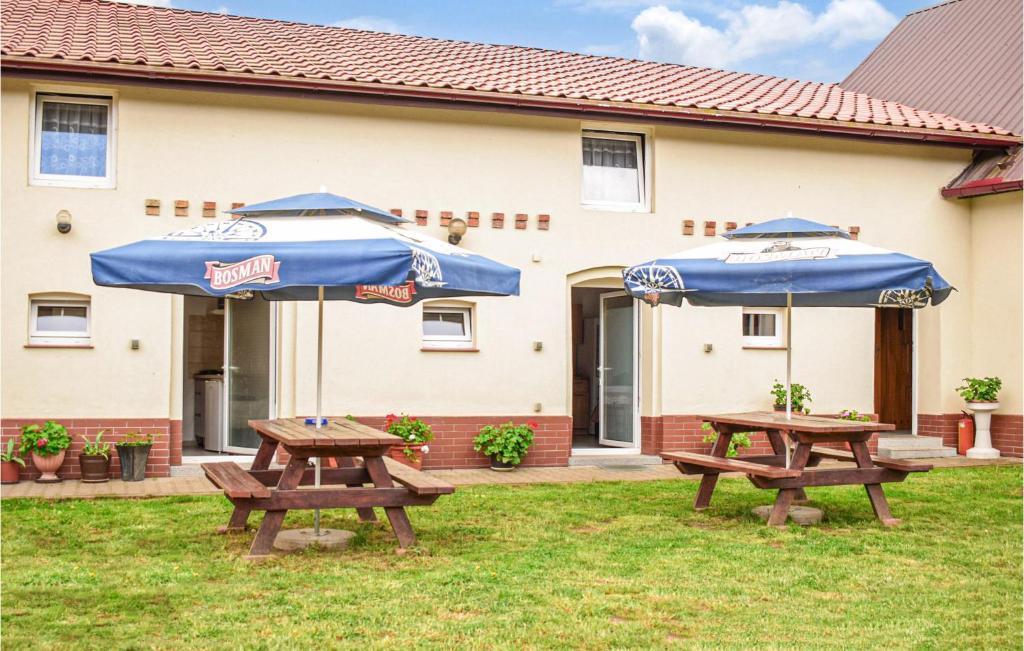 Pet Friendly Home In Dominikowo With Wifi — photo 1