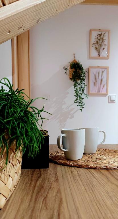 Tatra Apartament — photo 1