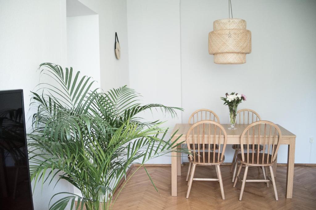 TS City Centre Apartment — photo 1