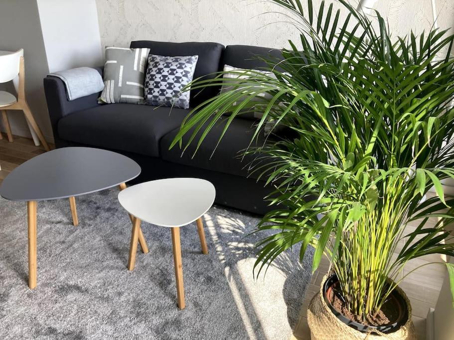 Słoneczny apartament z garażem przy Parku Kościuszki — photo 1