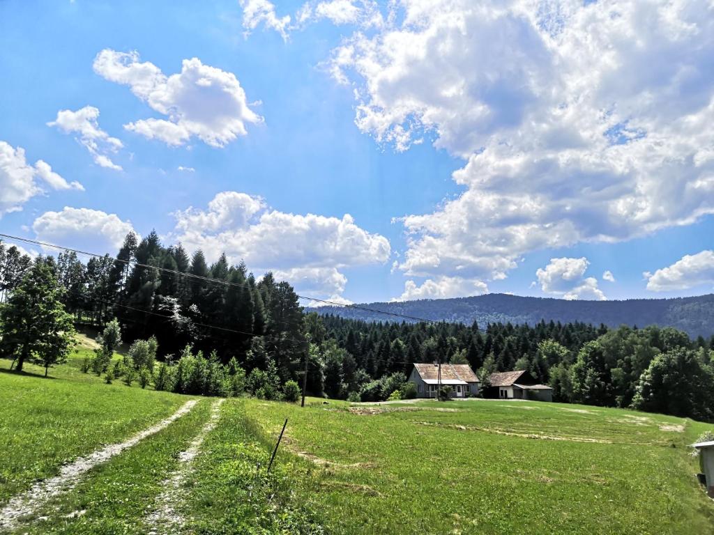 Siedlisko Podjaworzem — photo 1