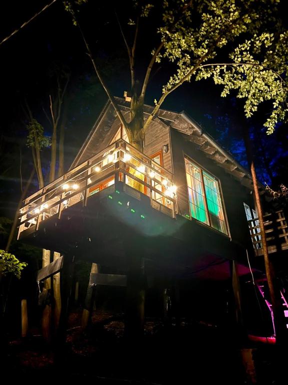 Na Skraju Lasu Domek na Drzewie & Glamping — photo 1