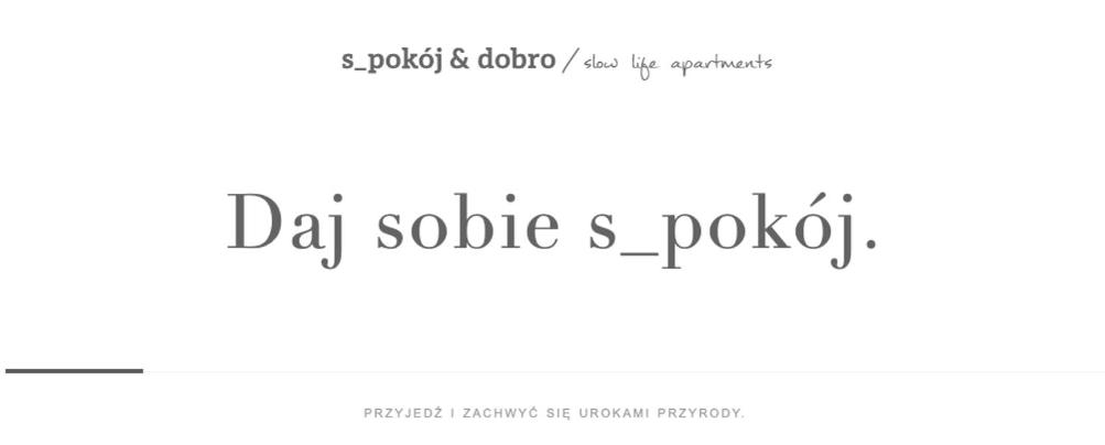 SPOKÓJ & DOBRO - slow life apartments photo 2