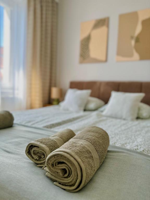 Apartament Zielone Serce Miasta photo 3