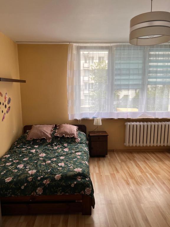 Cozy Studio in Historic Muranów photo 2