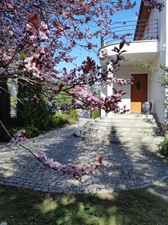 Marel-Apartamenty w Parku- Rydz Polanica Zdrój — photo 1
