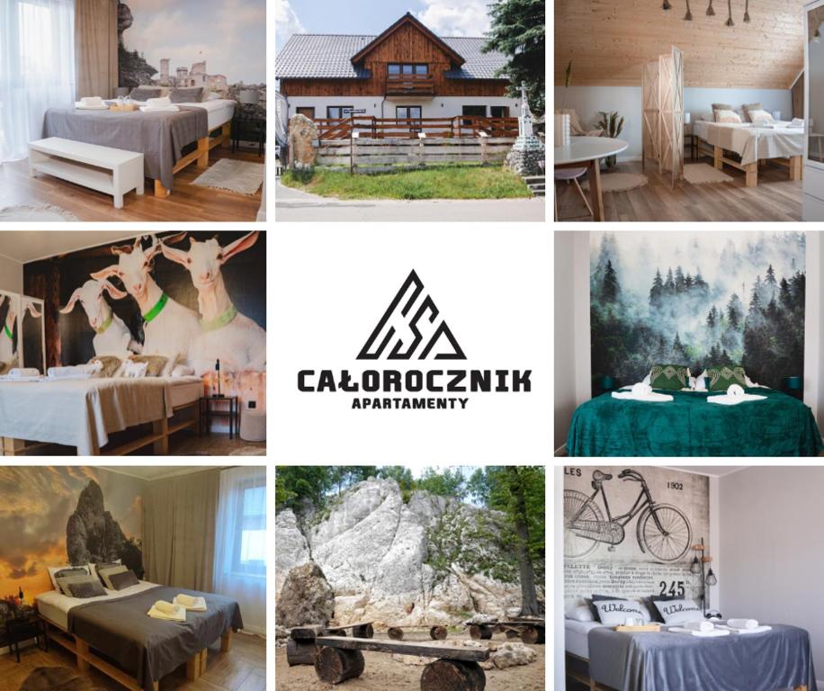 Całorocznik Skała & Apartamenty — photo 1